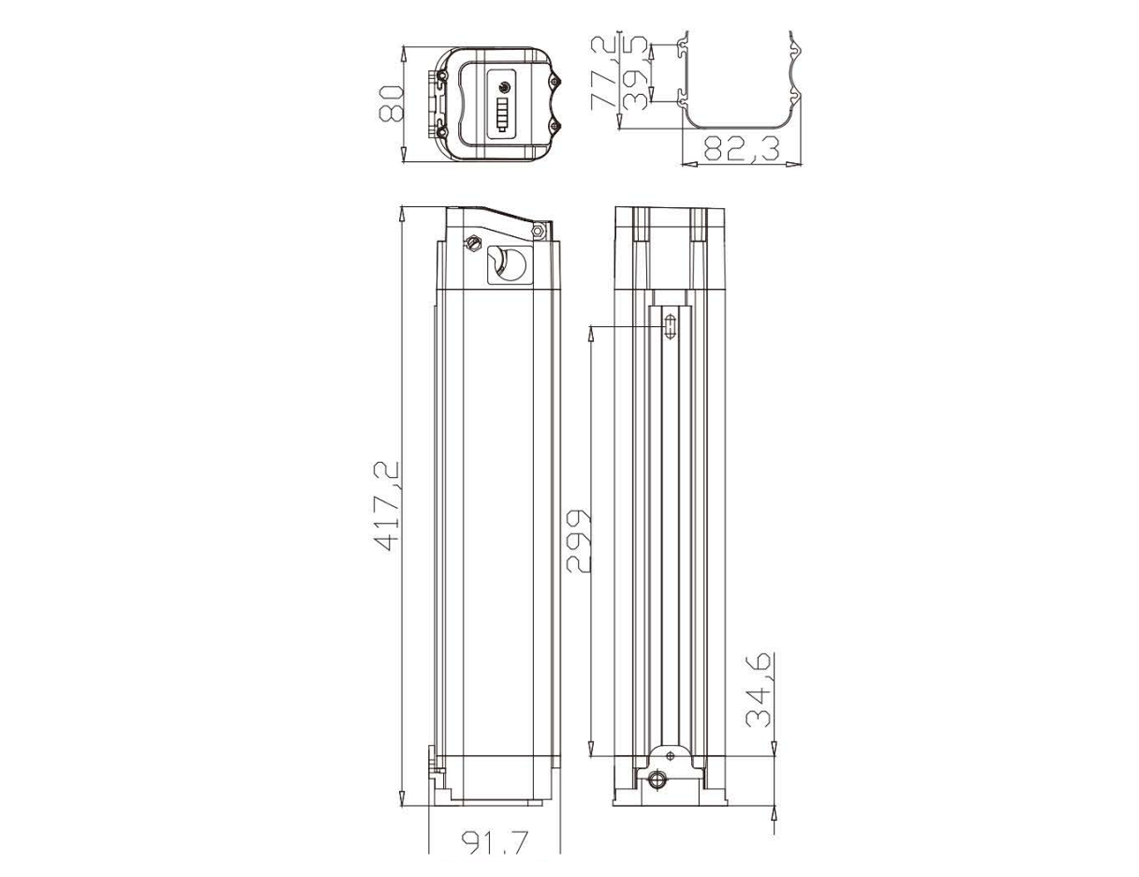 New Zealand Whitebait E-binke battery-Size